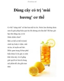 Dùng cây cỏ trị 'mùi hương' cơ thể