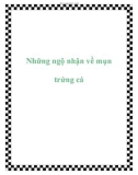 Những ngộ nhận về mụn trứng cá