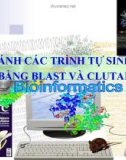 SO SÁNH CÁC TRÌNH TỰ SINH HỌC BẰNG BLAST VÀ CLUTALX