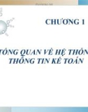 Bài giảng môn Hệ thống thông tin kế toán - Chương 1: Tổng quan về hệ thống thông tin kế toán