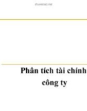 Báo cáo: Phân tích tài chính công ty