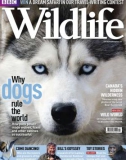 bbc wildlife magazine 2011 phần 1