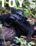 bbc wildlife magazine 2011 phần 5