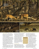 bbc wildlife magazine 2010 phần 5