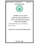 Tóm tắt Luận án Tiến sĩ Dược học: Nghiên cứu tác dụng chống đái tháo đường của lá cây Xấu hổ (Mimosa pudica L.) trên thực nghiệm