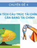 Bài giảng Phân tích báo cáo tài chính: Chuyên đề 4 - Trần Trung Tuấn