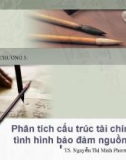 Bài giảng Phân tích báo cáo tài chính: Chương 3 - TS. Nguyễn Thị Minh Phương