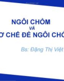 Bài giảng Ngôi chỏm và cơ chế đẻ ngôi chỏm - BS. Đặng Thị Việt Hằng