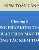 Bài giảng Kiểm toán căn bản: Chương 5 - TS. Nguyễn Thị Thanh Phương