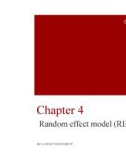 Bài giảng Phân tích số liệu mảng - Chương 4: Random effect model (REM)