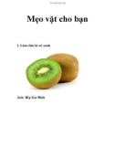 Mẹo vặt cho bạn