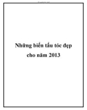 Những biến tấu tóc đẹp cho năm 2013