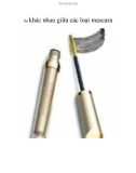 Sự khác nhau giữa các loại mascara