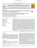 New design of a commercial chip-based GMR sensor with magnetite nanoparticles for biosensing applications