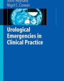 Urological Emergencies in Clinical Practice - part 1