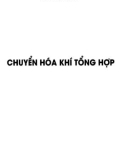 Công nghệ chuyển hóa khí tổng hợp: Phần 1