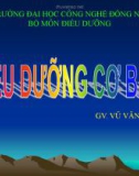 Bài giảng Điều dưỡng cơ bản I: Hồ sơ người bệnh và cách ghi chép - GV. Vũ Văn Tiến