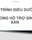 Bài giảng Quy trình điều dưỡng trong hỗ trợ sinh sản