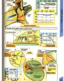 Atlas de poche de physiologie - part 9