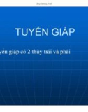 Bài giảng Tuyến giáp