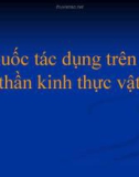 Bài giảng Dược lý học: Thuốc tác dụng trên hệ thần kinh thực vật