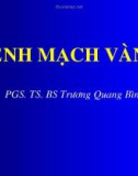 Bài giảng Bệnh mạch vành - PGS.TS.BS. Trương Quang Bình