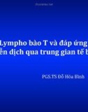 Bài giảng Lympho bào T và đáp ứng miễn dịch qua trung gian tế bào - PGS.TS Đỗ Hòa Bình