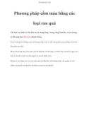 Phương pháp cầm máu bằng các loại rau quả