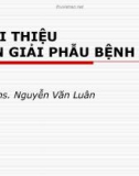 Bài giảng môn giải phẫu bệnh - Ths.Nguyễn Văn Luân