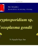 Bài giảng môn Sốt rét - Kí sinh trùng và côn trùng: Cryptosporidium sp, Toxoplasma gondii - TS. Nguyễn Ngọc San (Học viện quân y)