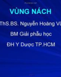 Bài giảng bộ môn Giải phẫu học: Vùng nách - ThS. BS. Nguyễn Hoàng Vũ