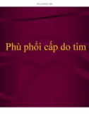 Bài giảng Phù phổi cấp do tim