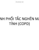 Bài giảng Bệnh phổi tắc nghẽn mạn tính (22 trang)