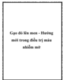 Gạo đỏ lên men - Hướng mới trong điều trị máu nhiễm mỡ