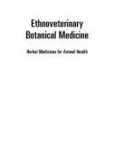 Ebook Ethnoveterinary botanical medicine, herbal medicines for animal health: Part 1