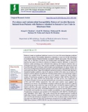 Prevalence and antimicrobial susceptibility pattern of aerobic bacteria isolated from patients with bedsores admitted to intensive care units in Khartoum state