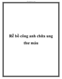 Rễ bồ công anh chữa ung thư máu