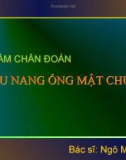 U nang ống mật chủ