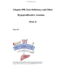 Chapter 098. Iron Deficiency and Other Hypoproliferative Anemias (Part 2)