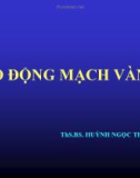 Bài giảng Rò động mạch vành - ThS.BS Huỳnh Ngọc Thiện