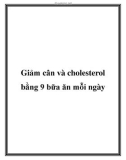 Giảm cân và cholesterol bằng 9 bữa ăn mỗi ngày