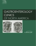 Gastroenterology Clinics of North America