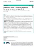 Prognostic role of E2F1 gene expression in human cancer: A meta-analysis