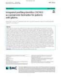 Integrated profiling identifies CACNG3 as a prognostic biomarker for patients with glioma