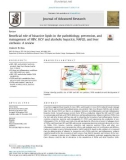 Beneficial role of bioactive lipids in the pathobiology, prevention, and management of HBV, HCV and alcoholic hepatitis, NAFLD, and liver cirrhosis: A review