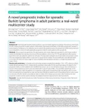 A novel prognostic index for sporadic Burkitt lymphoma in adult patients: A real-word multicenter study