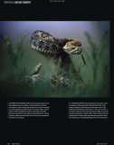 bbc wildlife magazine 2010 phần 3