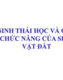 Bài giảng Khoa học đất cơ bản (Basic of Soil Science) - Bài 7: Các tính chất sinh học của đất