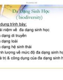 Bài giảng Đa dạng sinh học (biodiversity)