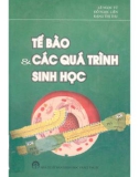 Các quá trình sinh học Tế bào: Phần 1